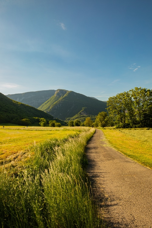 A winding road through a green mountain valley at sunset