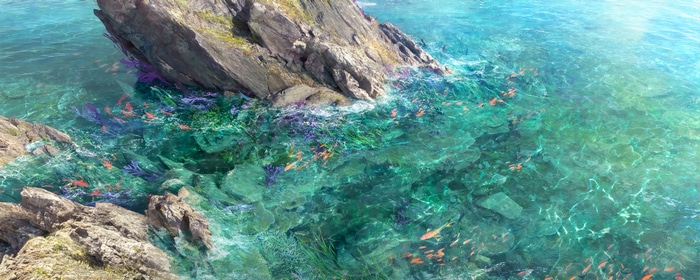 4K clear water with fish and rocks