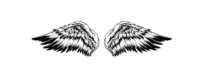 Black and white angel wings illustration