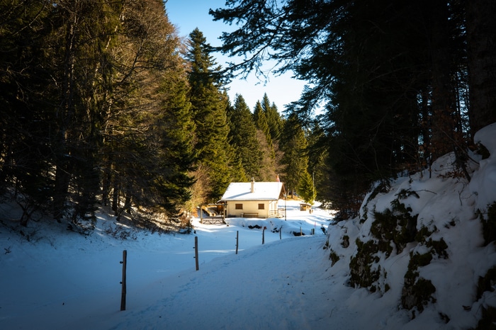 A small house in a snowy forest during winter