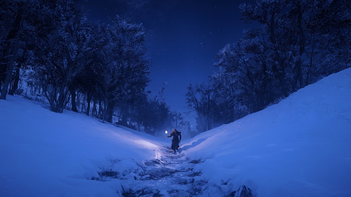 Eivor in a snowy forest at night