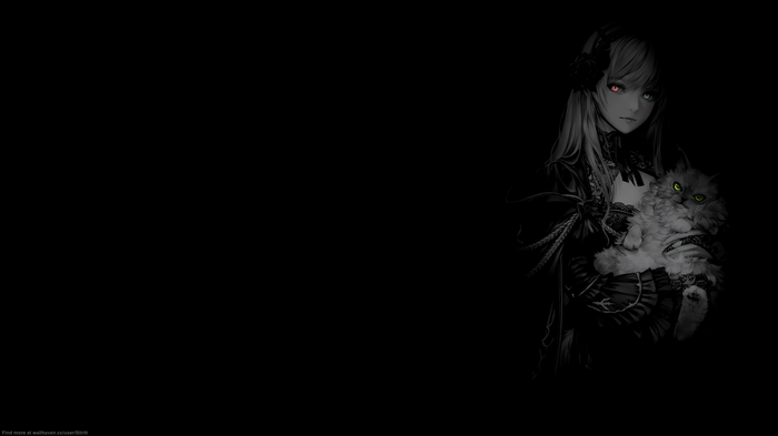 Anime girl with cat on black background