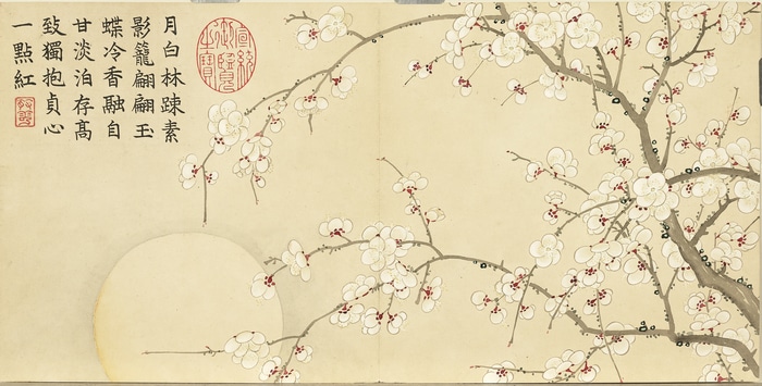 Chinese Plum Blossoms with Calligraphy and Seals