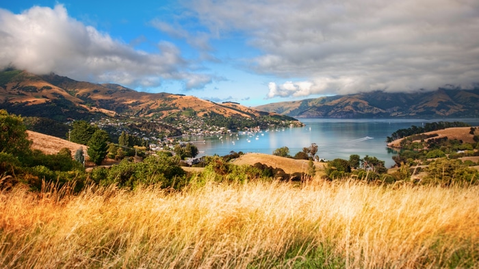 Akaroa Bay, New Zealand Landscape with Hills and Water