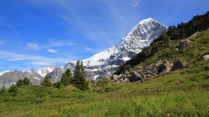 Snowy peak in Switzerland with green meadows and rocks