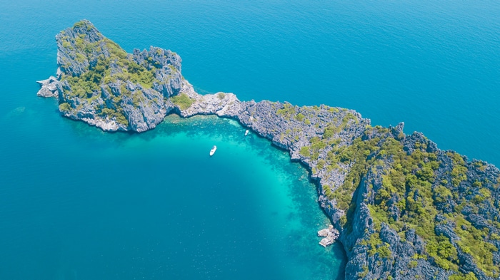 Aerial view of a rocky island with trees in the sea
