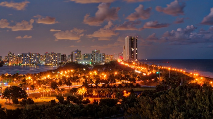 City lights and palm trees at dusk