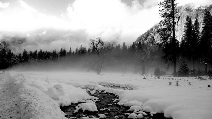 Snowy forest landscape with a stream and mountains