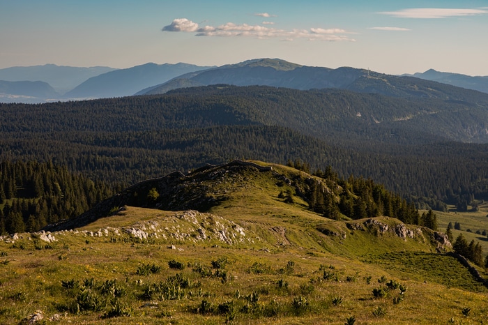 Mountain landscape with forest and grassy hills
