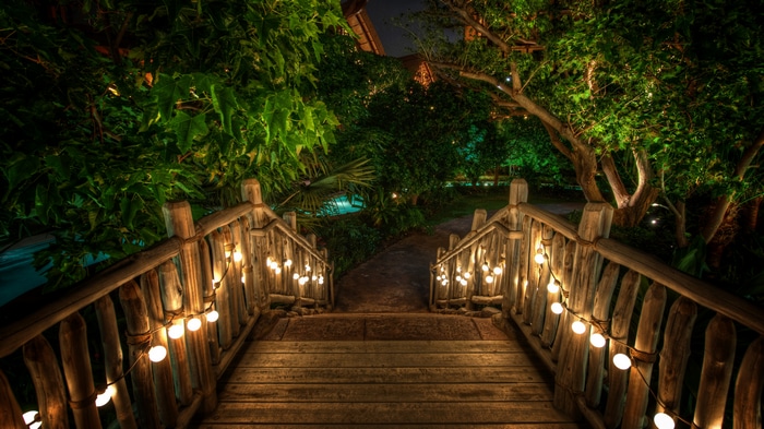 4K bridge with lights in garden at night