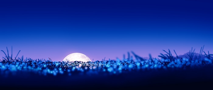 4K Moonlit Field Landscape