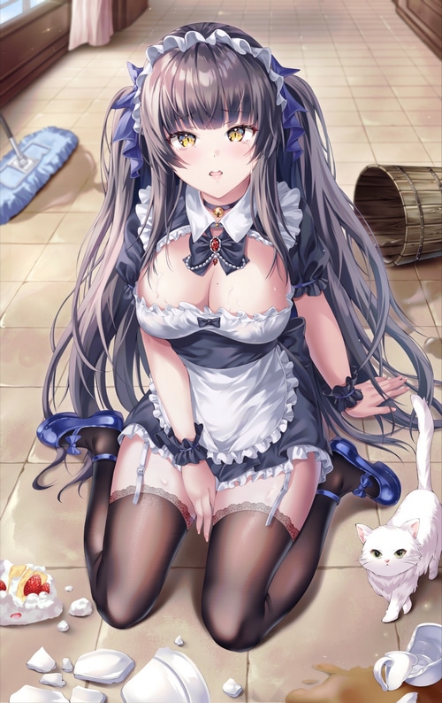 Maid with cat and spilled cake
