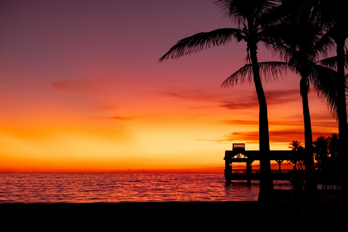 Sunset over the ocean with palm trees and a pier in Key West, Florida