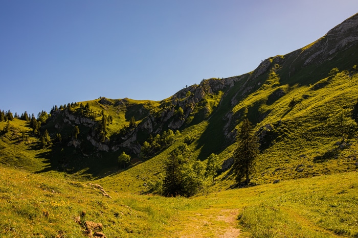 Green mountain slope with trees and a clear blue sky