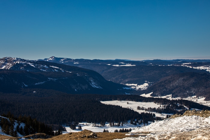 Snowy mountains and forests under a clear blue sky