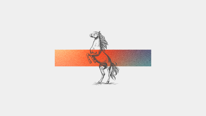 Horse rearing up over a gradient bar