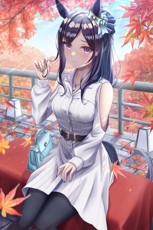 4K Mejiro Dober Uma Musume Pretty Derby fan art