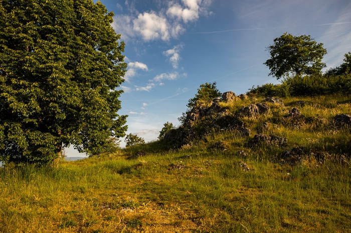 Grassy hill with rocks and trees under a blue sky