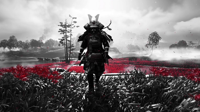 Ghost of Tsushima Samurai in Red Flower Field