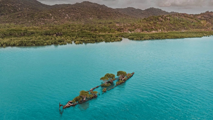 Shipwreck with trees growing on it in Queensland, Australia