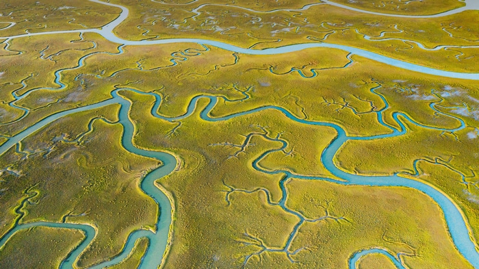 Aerial view of winding rivers on Mockhorn Island, Virginia