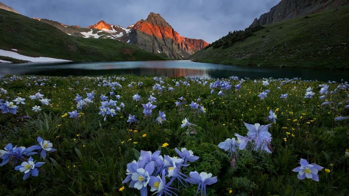 4K Mountains and Flowers Reflection Sunset Water