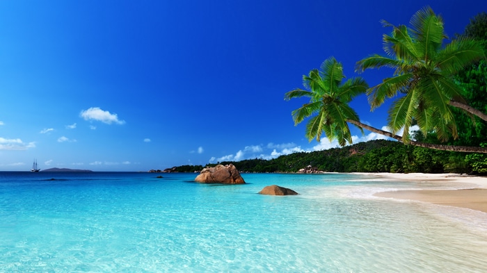 4K tropical beach with palm trees and turquoise sea