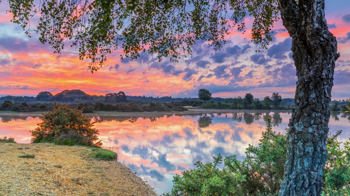 4K sunset glow reflection over water with trees