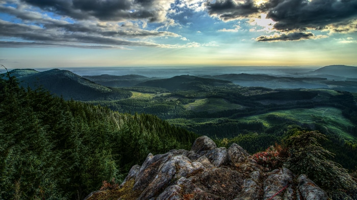 4K Nature Landscape with Forest and Clouds