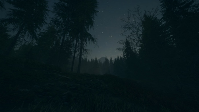 The Hunter PC game starry night forest