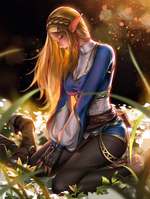 Princess Zelda kneeling in a field