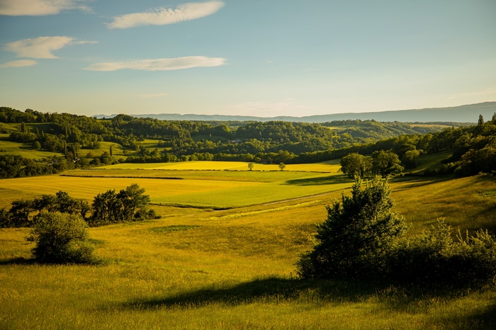 Rolling green hills and yellow fields under a blue sky