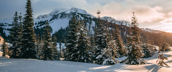 4K Snowy Mountain Landscape with Pine Trees at Sunset