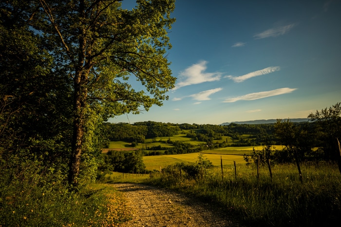 A dirt path winds through a green landscape with rolling hills.