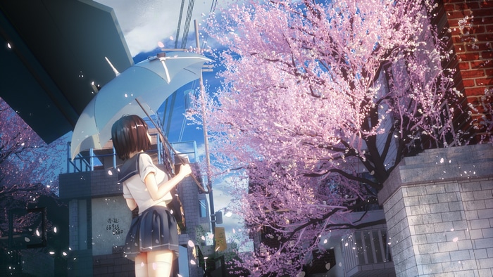 Schoolgirl with Umbrella under Cherry Blossoms