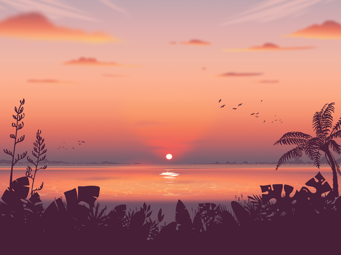 Sunset over water with palm trees and foliage