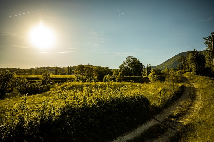Sunlight over a rural landscape with a dirt road