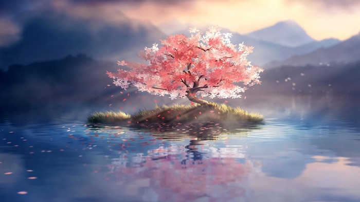 4K Cherry Blossom Tree on Island in Lake