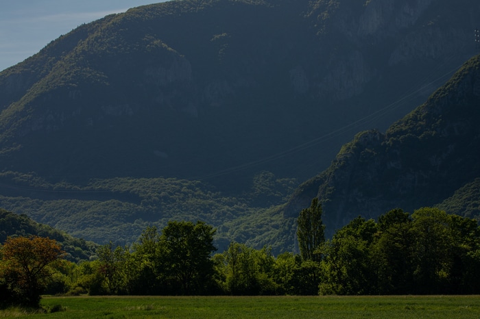 Green forest valley with mountains and a field