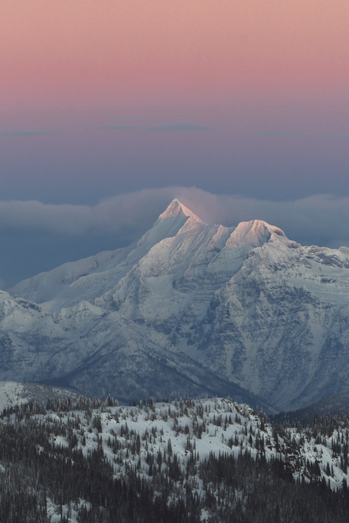 Snowy mountain peaks at sunrise with pine forest