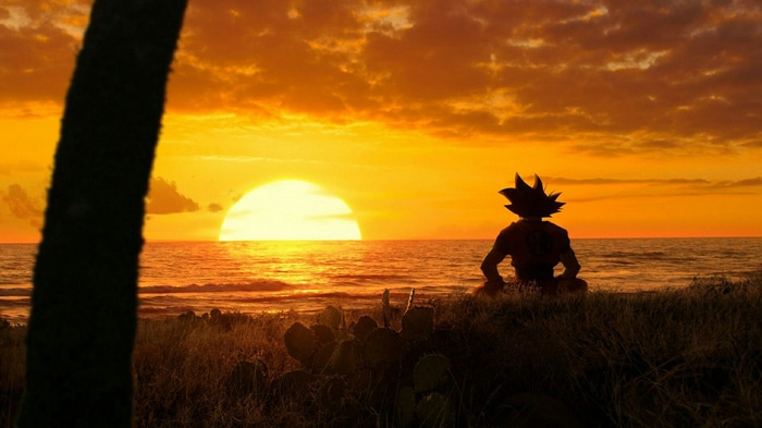 Son Goku sitting by the ocean at sunset
