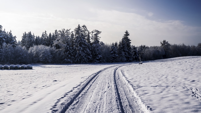 Winter landscape with snow-covered trees and a path