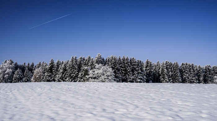 4K Winter Landscape with Snow-Covered Trees and Airplane Trail
