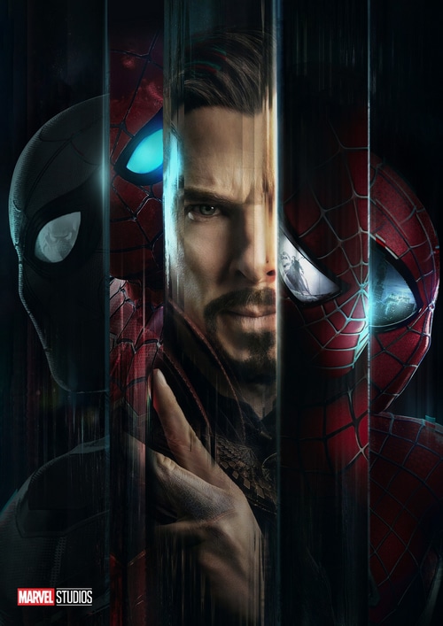 Spider-Man: No Way Home Poster with Doctor Strange