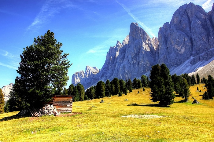 Mountain landscape with trees and a small cabin