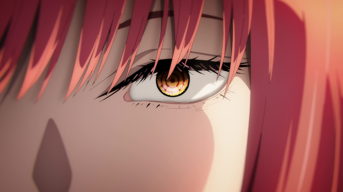 Makima's eye from Chainsaw Man