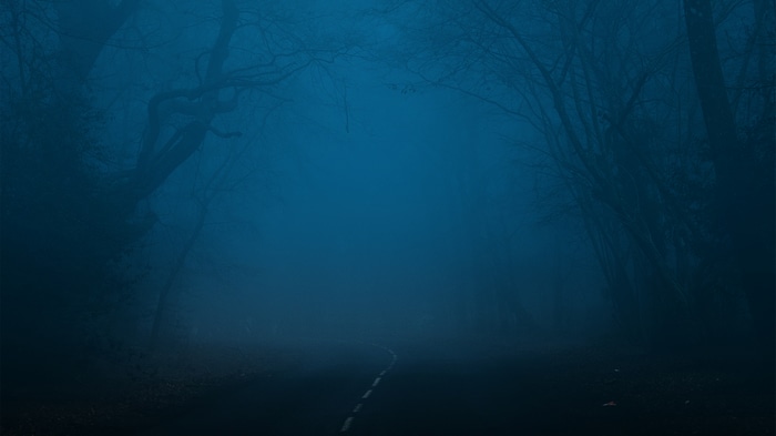 4K foggy road through a dark forest at night