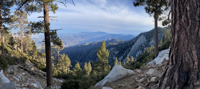 California Mountains Landscape with Pine Trees