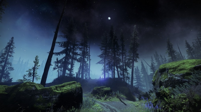 Destiny 2 Beyond Light forest at night