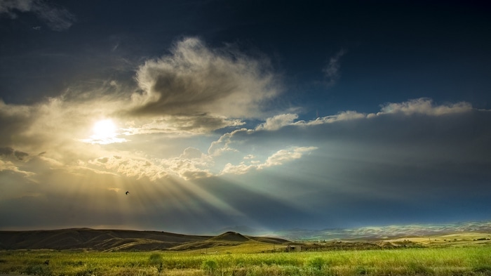Sunlight beams through clouds over a grassy field